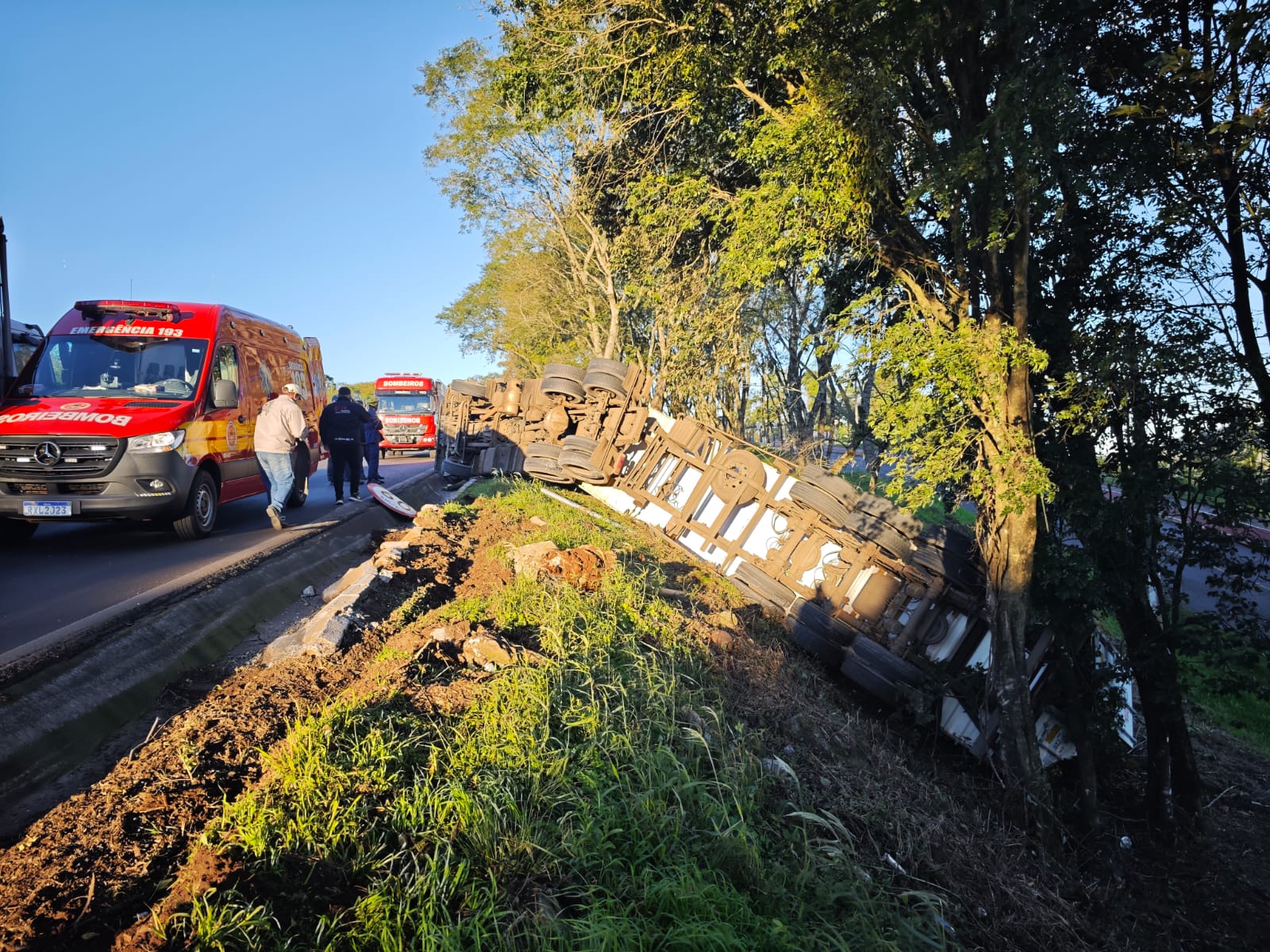Caminhão sai da pista e tomba na BR-282 em Cordilheira Alta