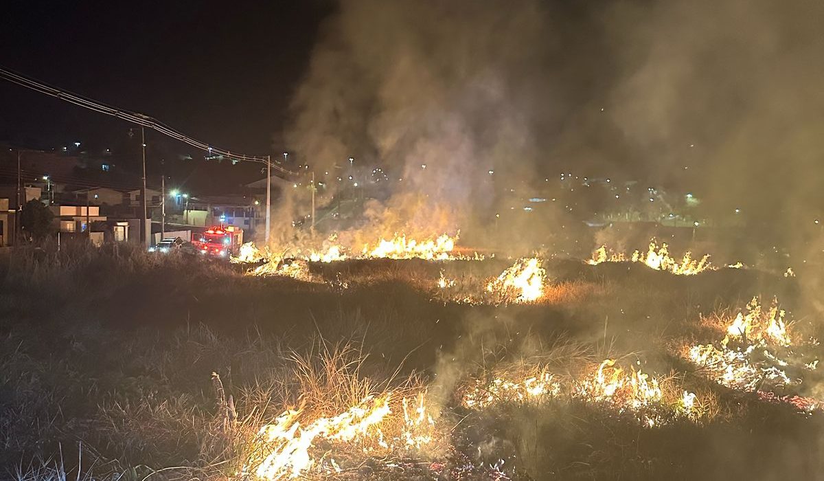 Incêndio de grandes proporções atinge vegetação em Xanxerê