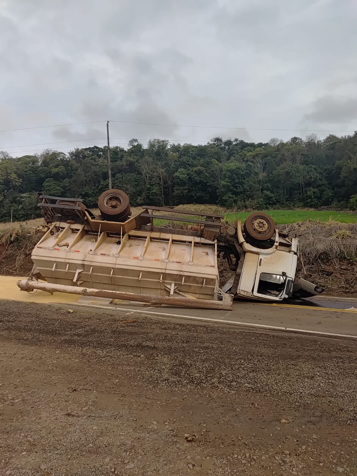 Caminhão carregado com ração capota na SC-159