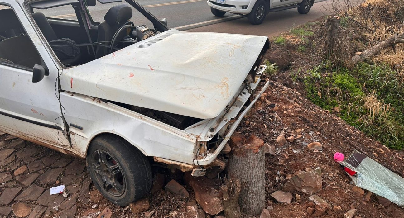Duas pessoas ficam feridas após carro colidir contra árvore em Bom Jesus