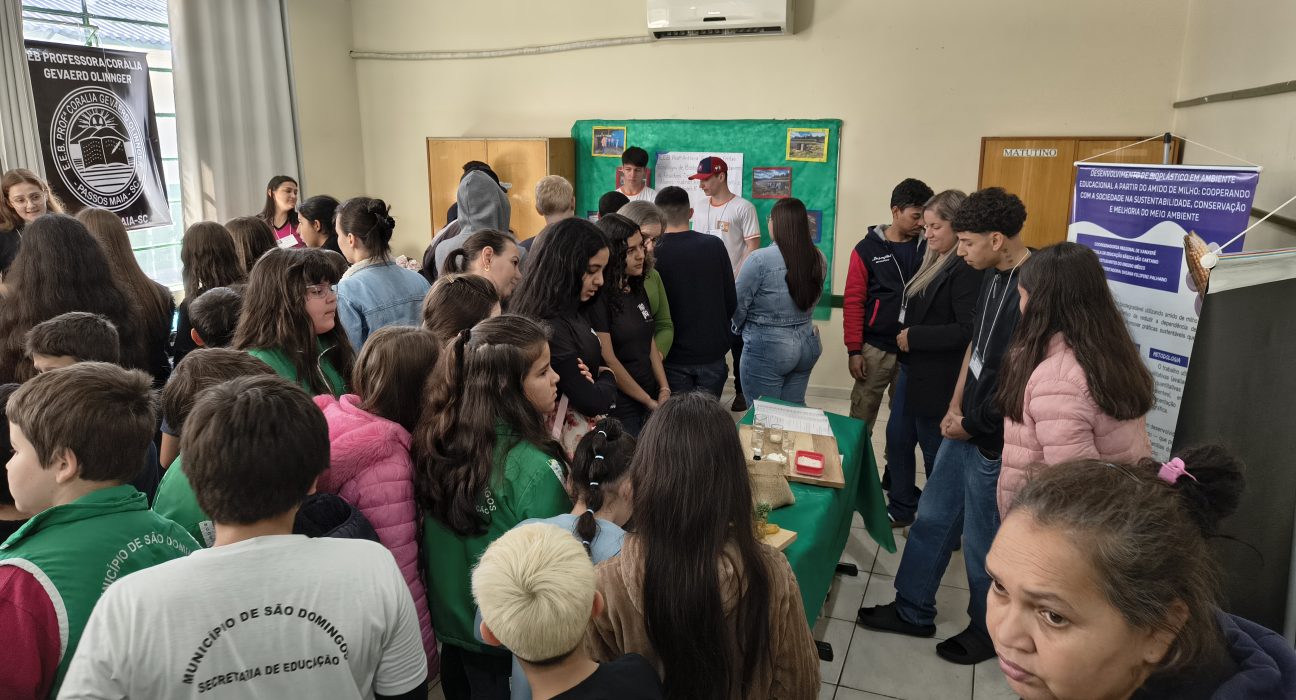 Escola João Roberto Moreira sedia Fecitec