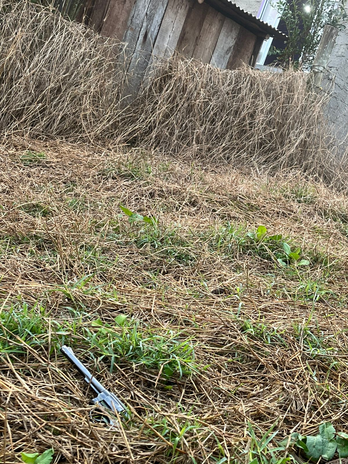 Arma furtada e materiais de rinha são apreendidos em São Domingos