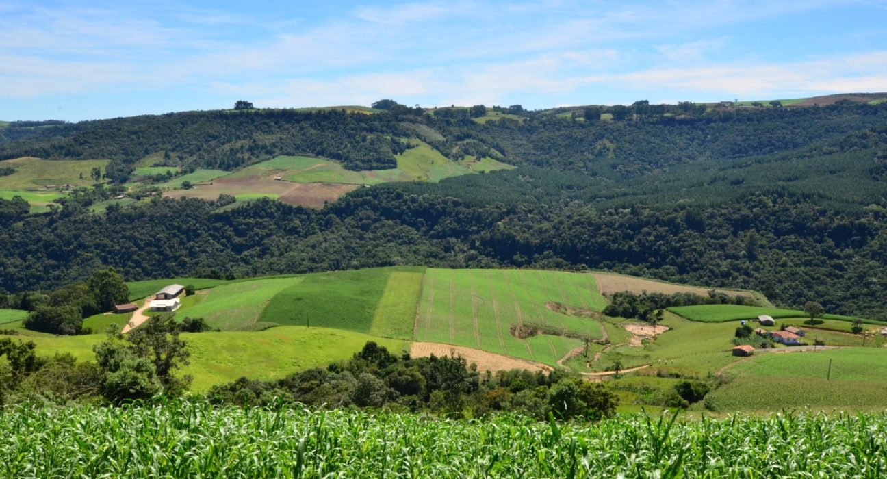 Foto Divulgação / Sape