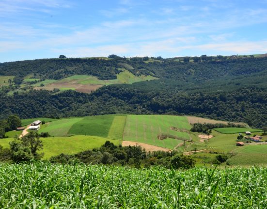 Foto Divulgação / Sape
