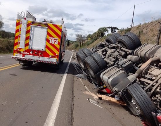 Caminhoneiro morre em tombamento na BR-282