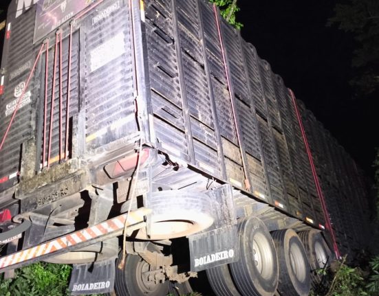 Caminhão sai da pista e desce ribanceira na BR-158