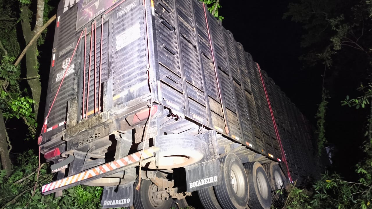 Caminhão sai da pista e desce ribanceira na BR-158