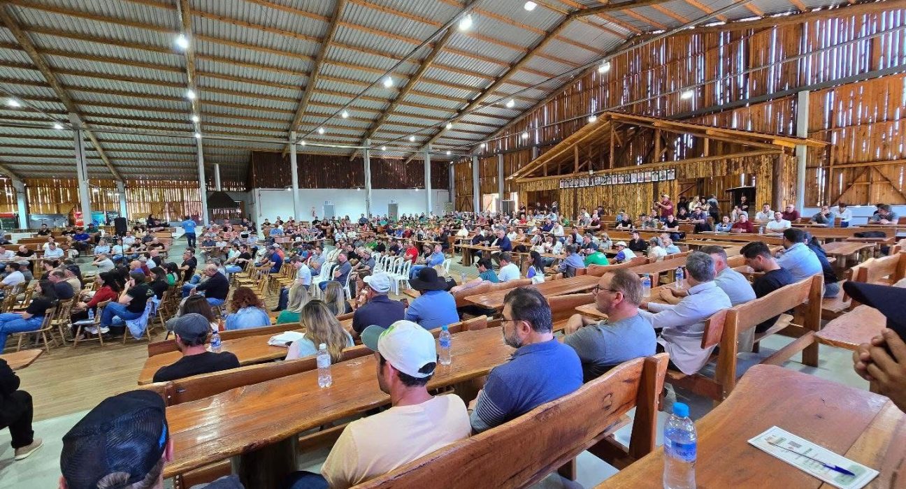 Fotos Prefeitura de São Domingos