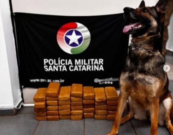 Foto Polícia Militar