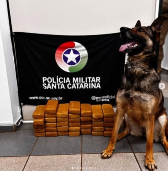 Foto Polícia Militar