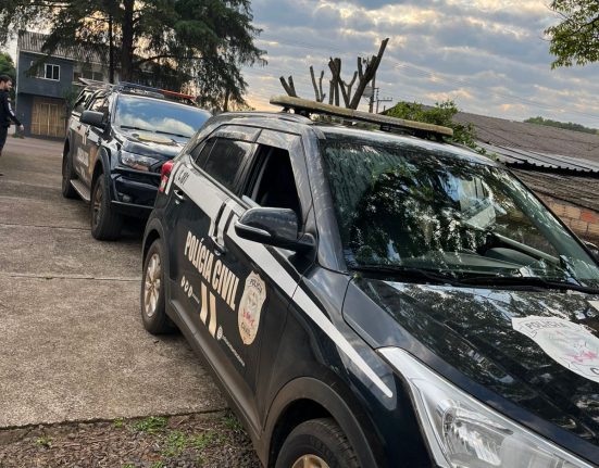 Polícia Civil prende duas pessoas por tráfico de drogas em São Domingos