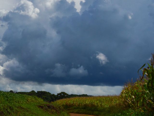 Foto Aires Mariga / Epagri