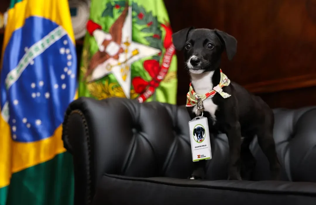 Foto Roberto Zacarias/Secom