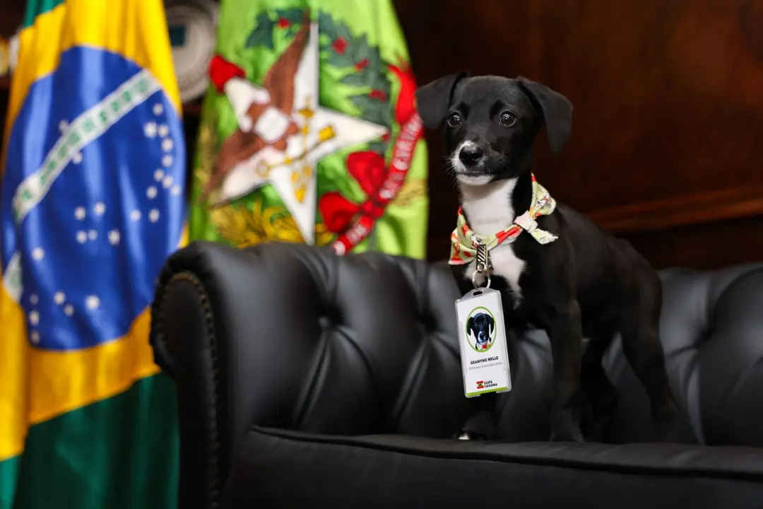 Foto Roberto Zacarias/Secom