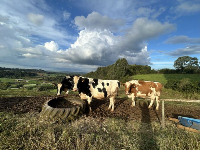 Foto Aires Mariga / Epagri