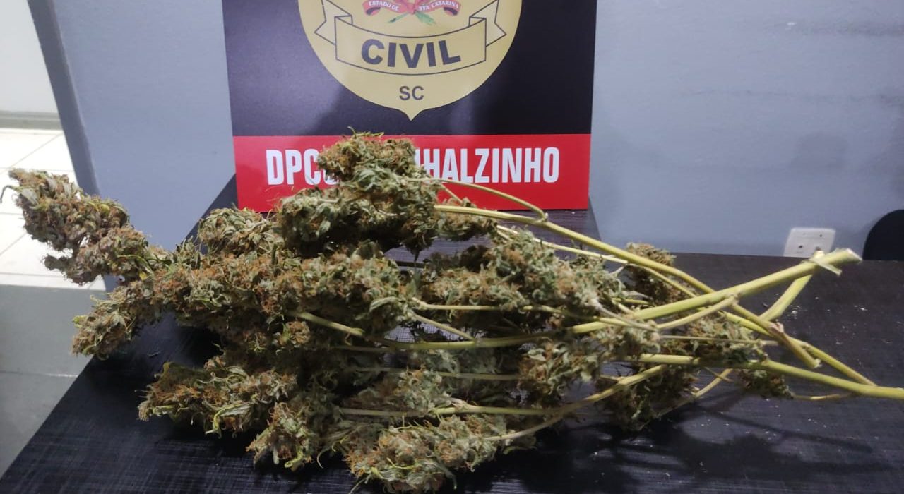 Fotos Polícia Civil
