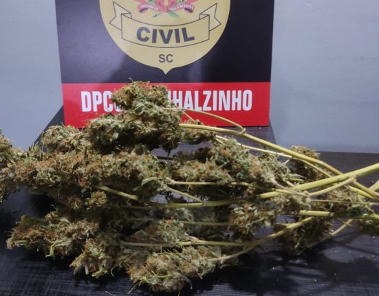 Fotos Polícia Civil