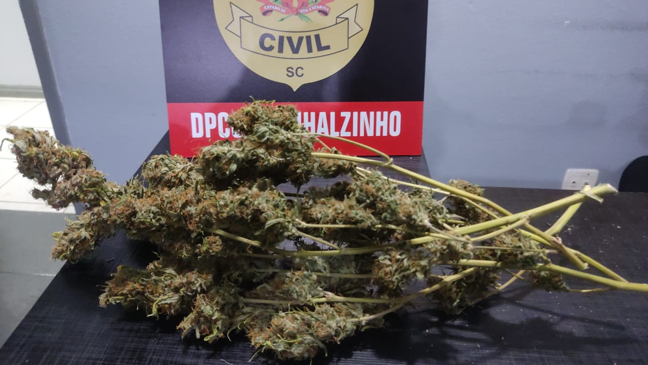 Fotos Polícia Civil