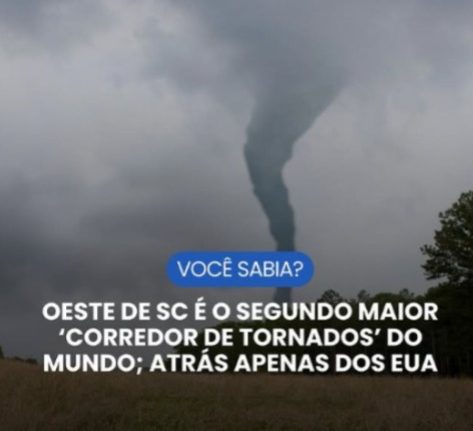 Foto Portal SC C 10/Ilustrativa Canva