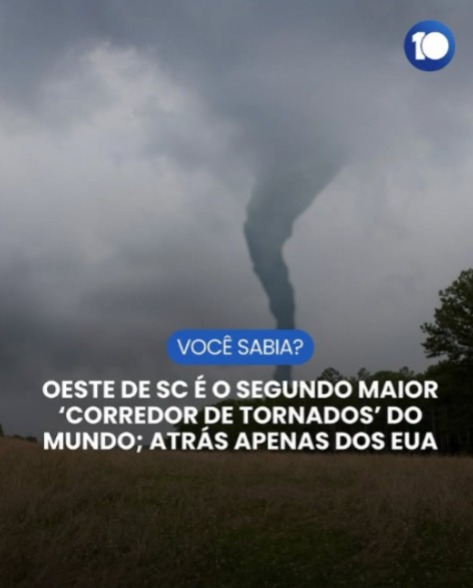 Foto Portal SC C 10/Ilustrativa Canva