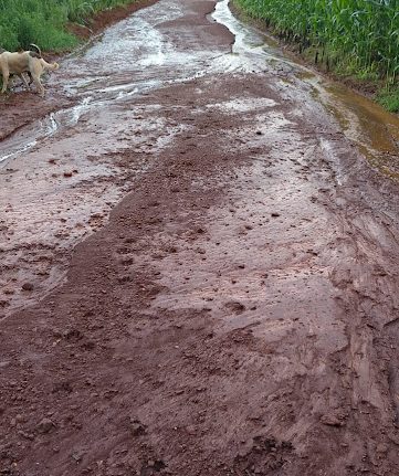 Enxurrada causa danos em estradas e lavouras no interior de São Domingos