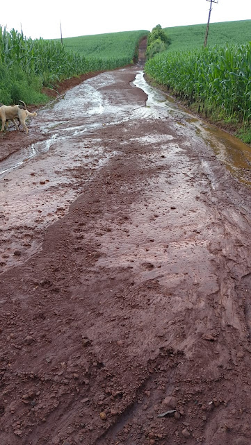 Enxurrada causa danos em estradas e lavouras no interior de São Domingos