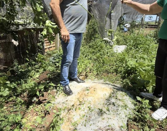 Prefeitura acompanha danos causados por granizo no interior de Ipuaçu