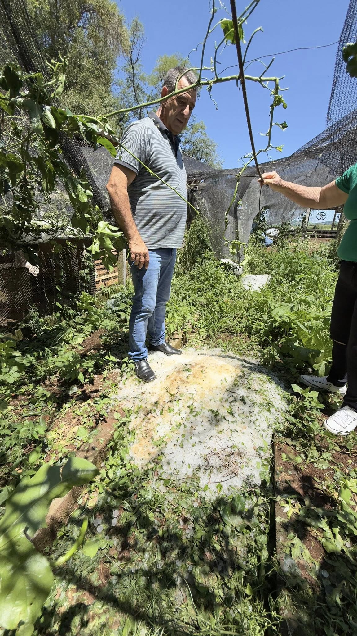 Prefeitura acompanha danos causados por granizo no interior de Ipuaçu