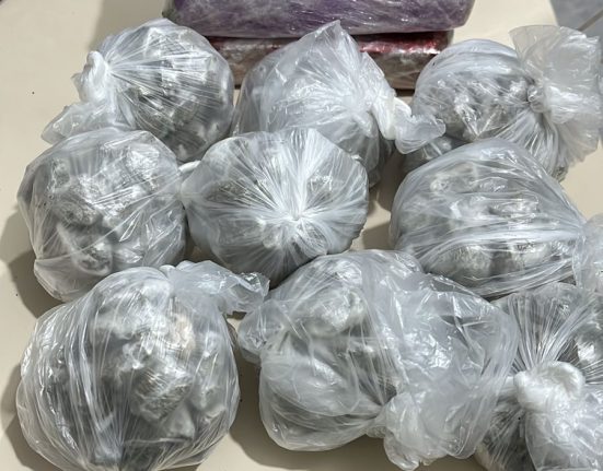 Polícia Civil apreende maconha em São Domingos