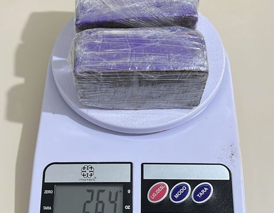 SÃO DOMINGOS/SC – POLÍCIA CIVIL APREENDE MACONHA ESCONDIDA EM CARRO ELÉTRICO INFANTIL E PRENDE HOMEM EM FLAGRANTE