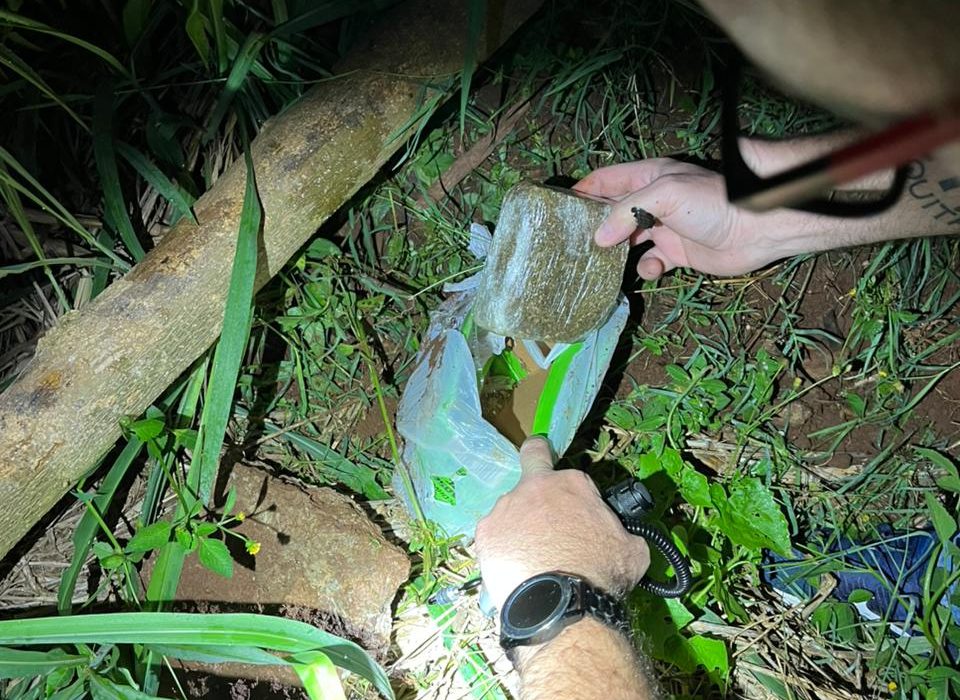Polícia Civil prende jovem em flagrante por tráfico de drogas em São Domingos