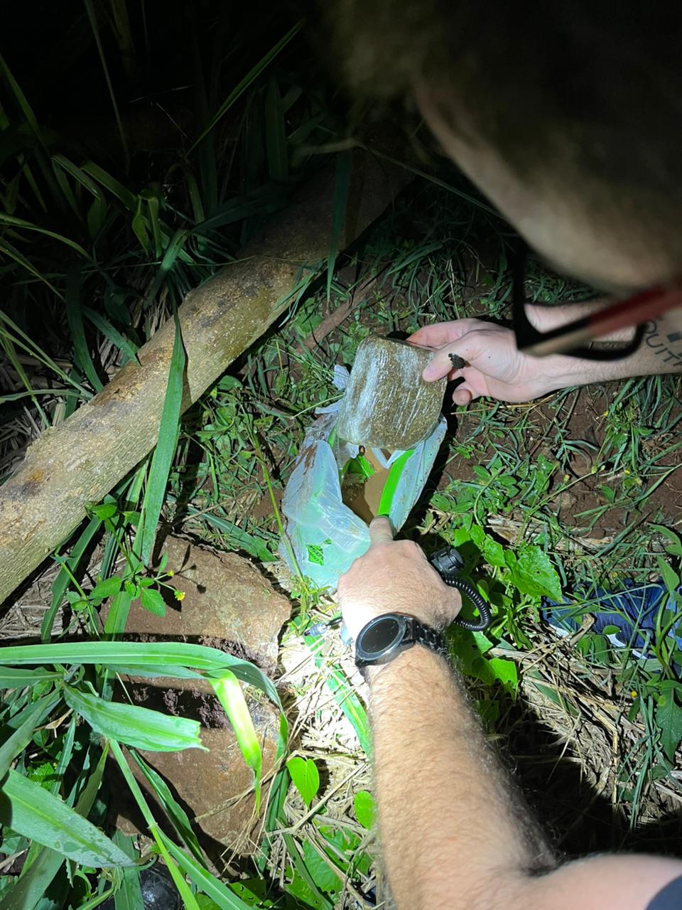 Polícia Civil prende jovem em flagrante por tráfico de drogas em São Domingos
