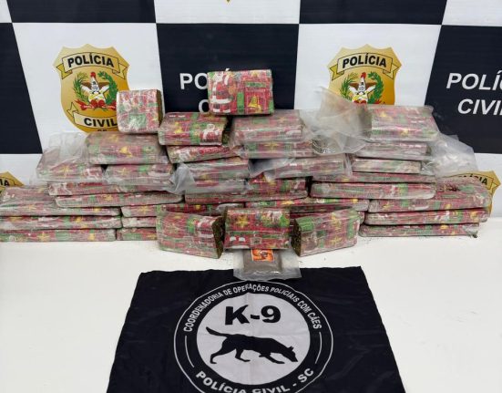 Polícia Civil apreende mais de 22 kg de drogas em ônibus interestadual durante operação em Bom Jesus