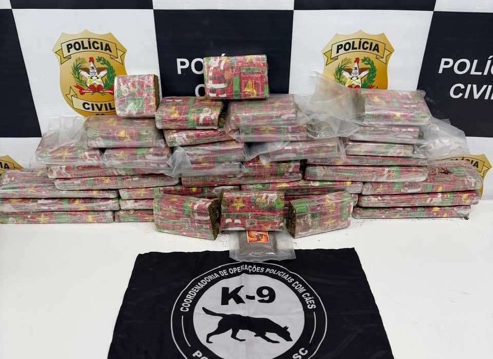 Polícia Civil apreende mais de 22 kg de drogas em ônibus interestadual durante operação em Bom Jesus