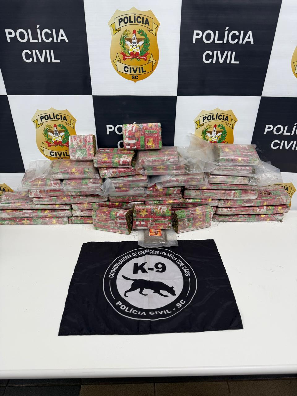 Polícia Civil apreende mais de 22 kg de drogas em ônibus interestadual durante operação em Bom Jesus