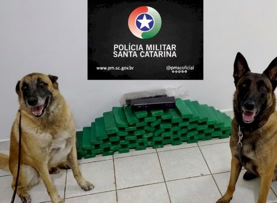 Fotos Polícia Militar
