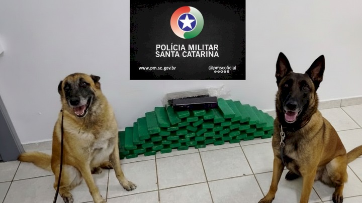 Fotos Polícia Militar