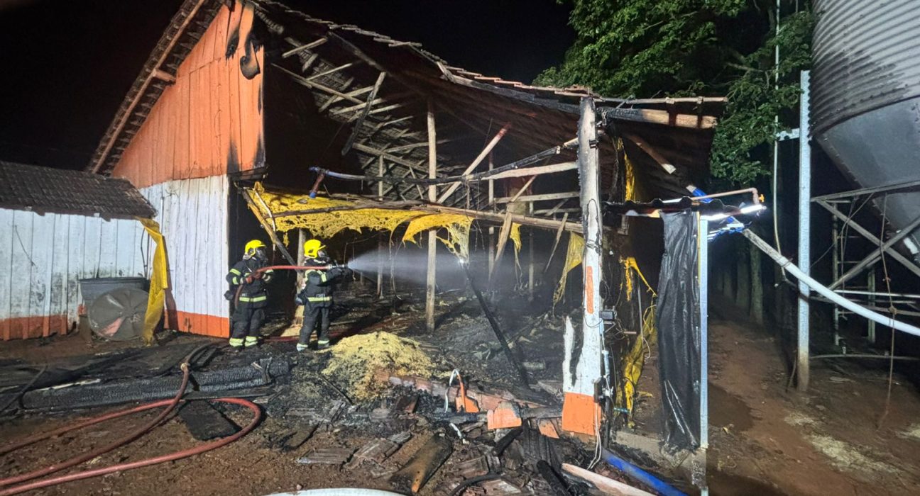 Incêndio atinge parte de aviário no interior de Saudades