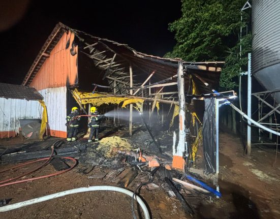 Incêndio atinge parte de aviário no interior de Saudades