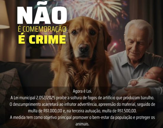 Lei municipal proíbe fogos barulhentos em São Domingos
