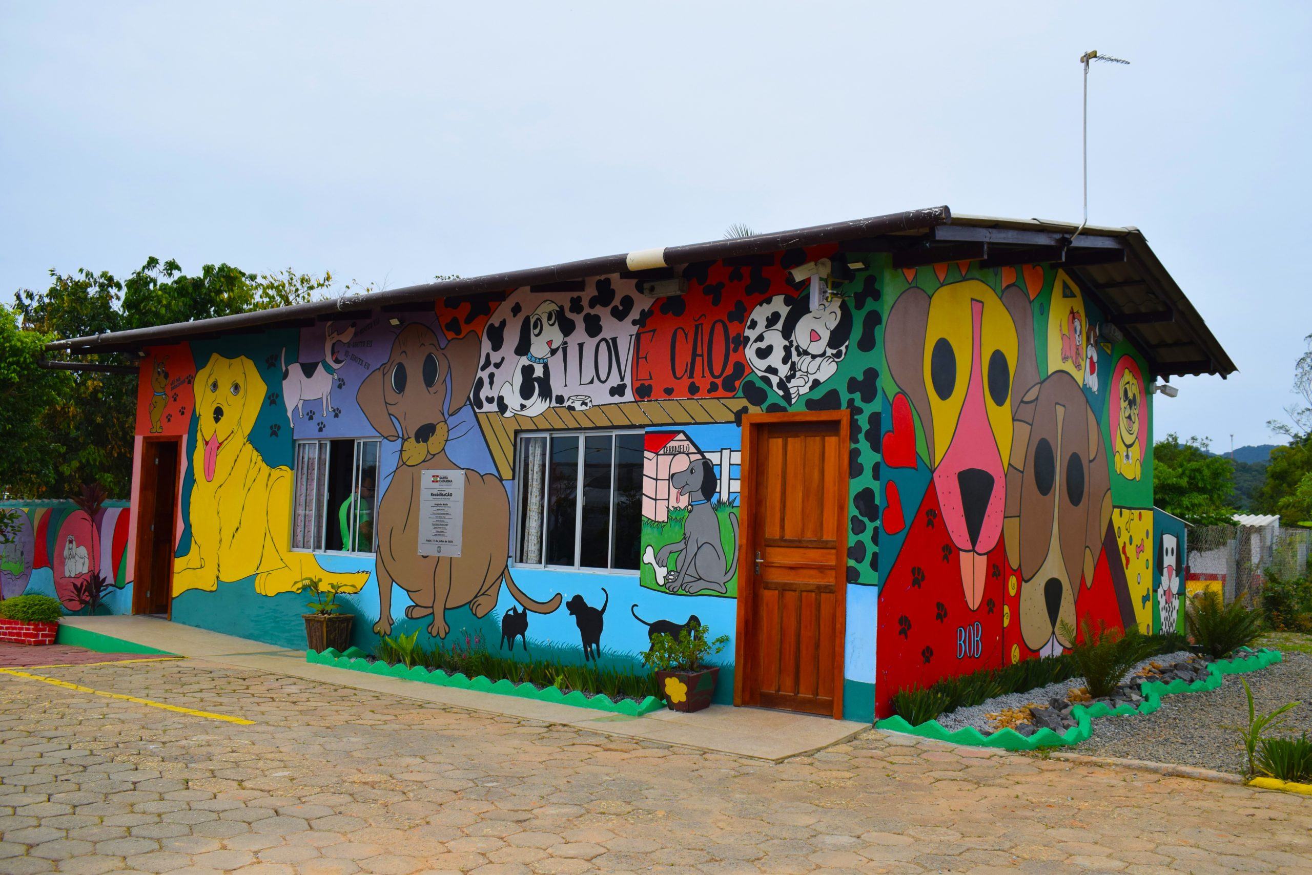 Foto Programa ReabilitaCÃO em expansão Jaqueline Noceti Sejuri
