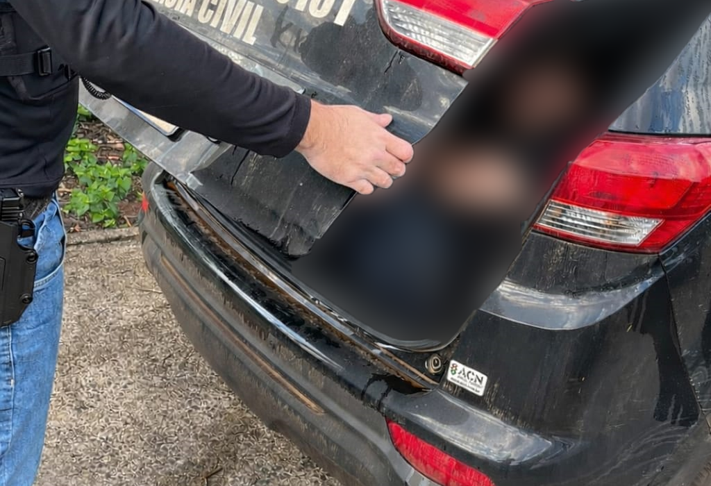 Homem é preso suspeito de furtos em série em São Domingos