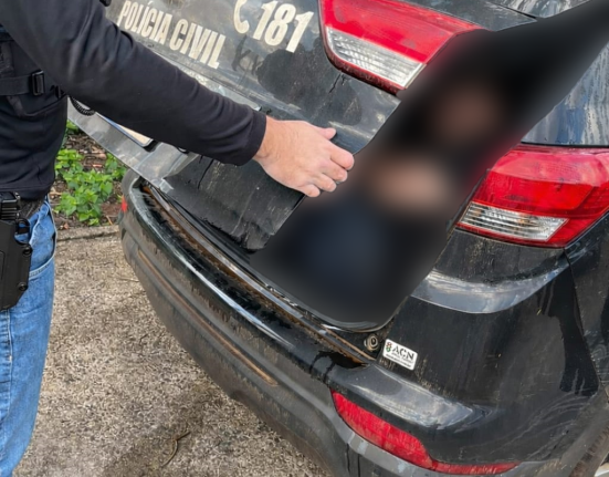 Homem é preso suspeito de furtos em série em São Domingos