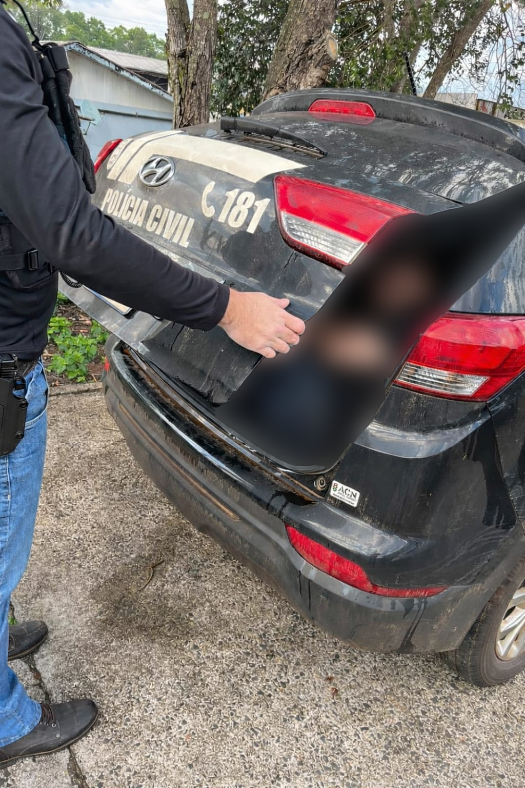 Homem é preso suspeito de furtos em série em São Domingos