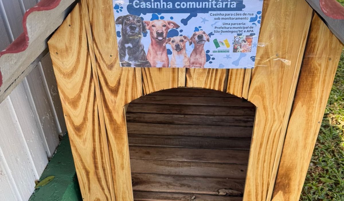Fotos Prefeitura de São Domingos