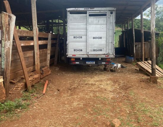 Furto é registrado em propriedade rural no interior de São Domingos