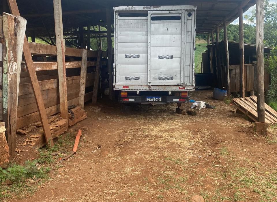 Furto é registrado em propriedade rural no interior de São Domingos