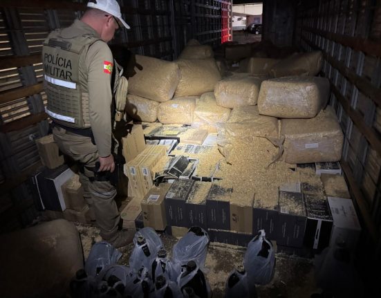 Mercadorias estavam embaixo de sacos de maravalha - Fotos PMRv