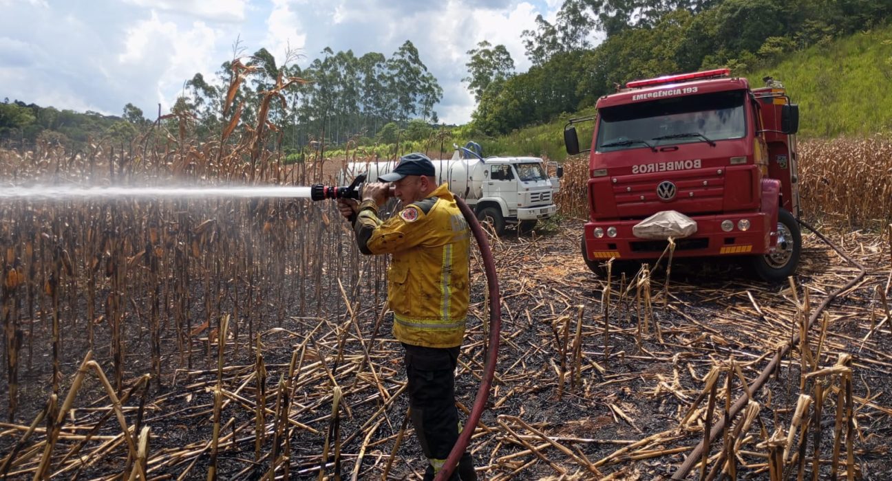Incêndio atinge lavoura de milho em Serra Alta