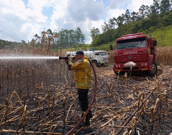 Incêndio atinge lavoura de milho em Serra Alta